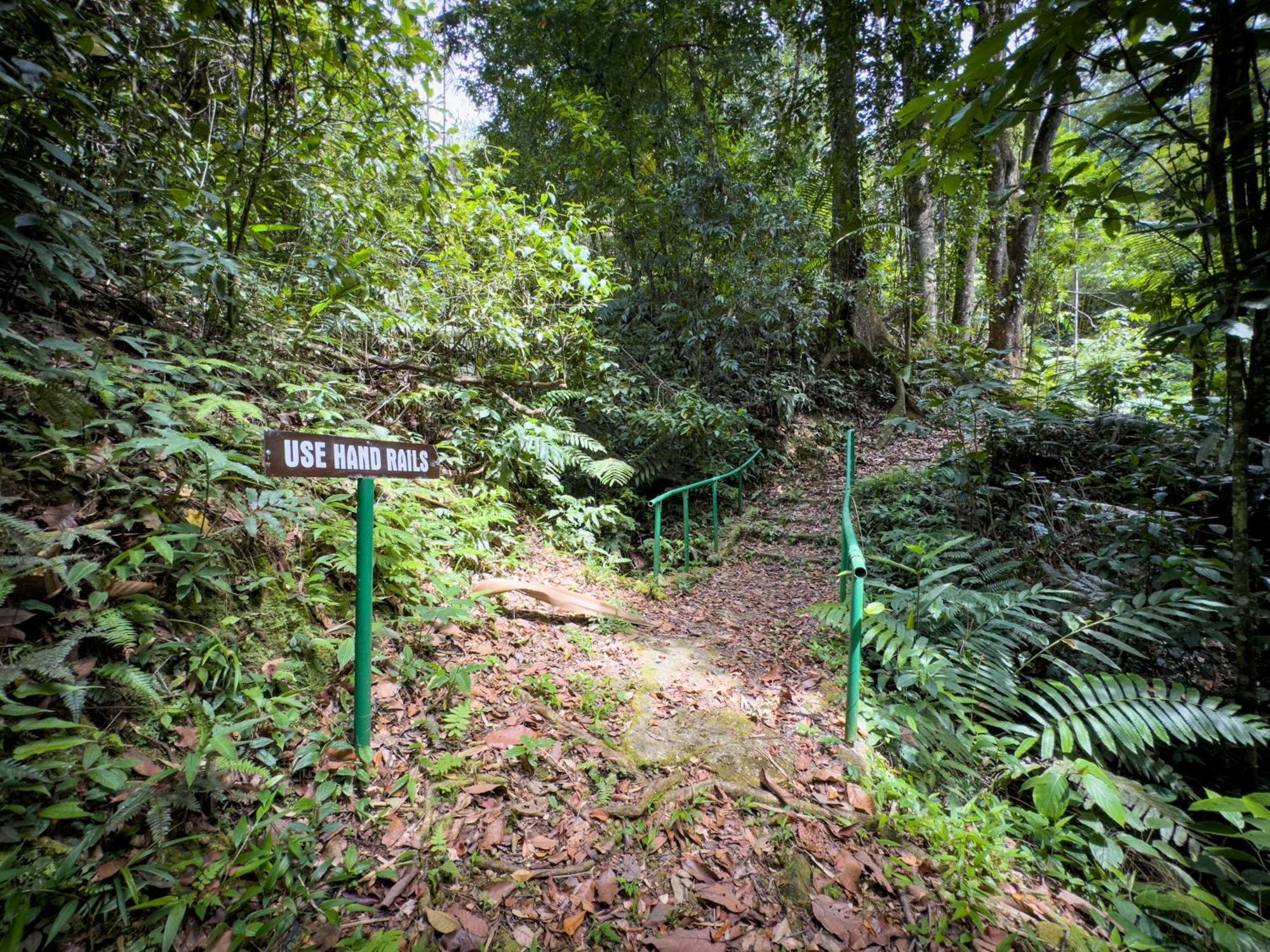 Hadco Experiences At Asa Wright Nature Centre Blanchisseuse ภายนอก รูปภาพ