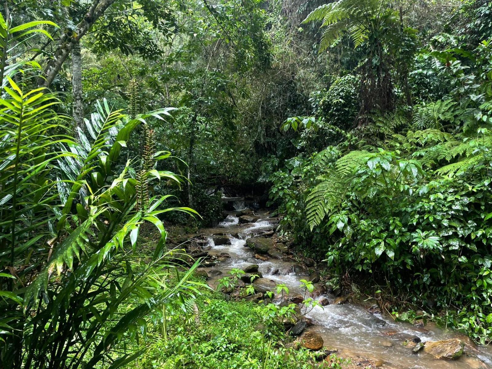 Hadco Experiences At Asa Wright Nature Centre Blanchisseuse ภายนอก รูปภาพ