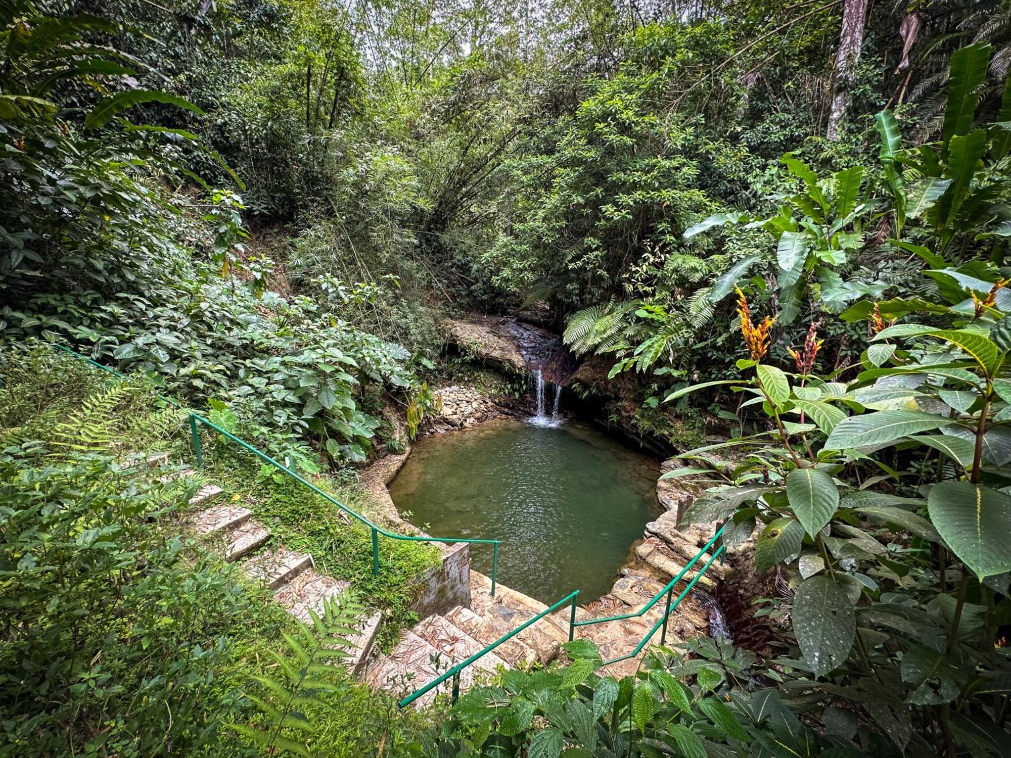 Hadco Experiences At Asa Wright Nature Centre Blanchisseuse ภายนอก รูปภาพ